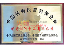 中國優(yōu)秀民營科技企業(yè)