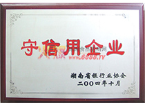 2004I