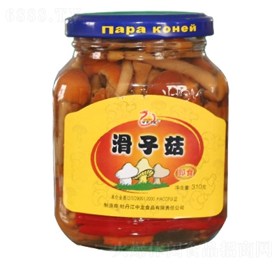 o(j)ӹ^310g