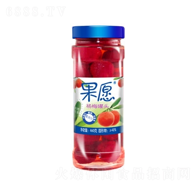 果愿玻璃瓶楊梅460g