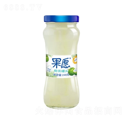 果愿玻璃瓶椰果248g