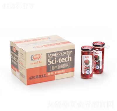 科技糖水楊梅瓶頭420