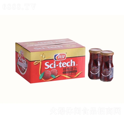 科技楊梅瓶頭255克X
