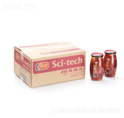 科技楊梅瓶頭800克X