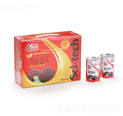 科技黑莓罐頭425克X