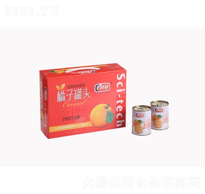 科技橘子罐頭256克X