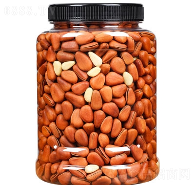{ȹ|_(ki)ڈ(jin)
