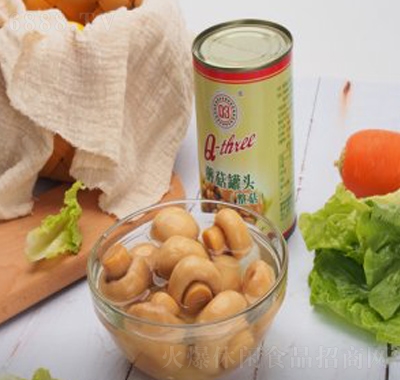 Q3蘑菇罐頭休閑食品網紅零食