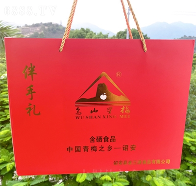 烏山星梅鮮果干話梅果脯中秋休閑零食年貨蜜餞禮盒裝