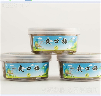 金三源青梅肉福建果脯蜜